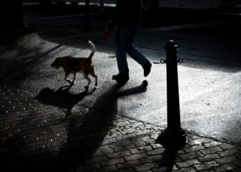 Bărbat căzut victimă unui atac absurd: s-a aplecat să strângă după câine și a fost snopit în bătaie