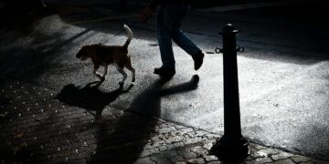 Bărbat căzut victimă unui atac absurd: s-a aplecat să strângă după câine și a fost snopit în bătaie