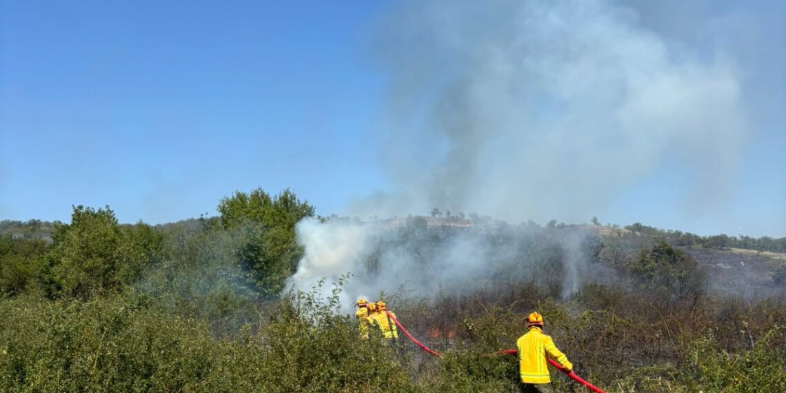 Sursa foto : ISU Bihor