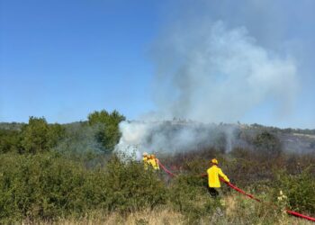 Sursa foto : ISU Bihor