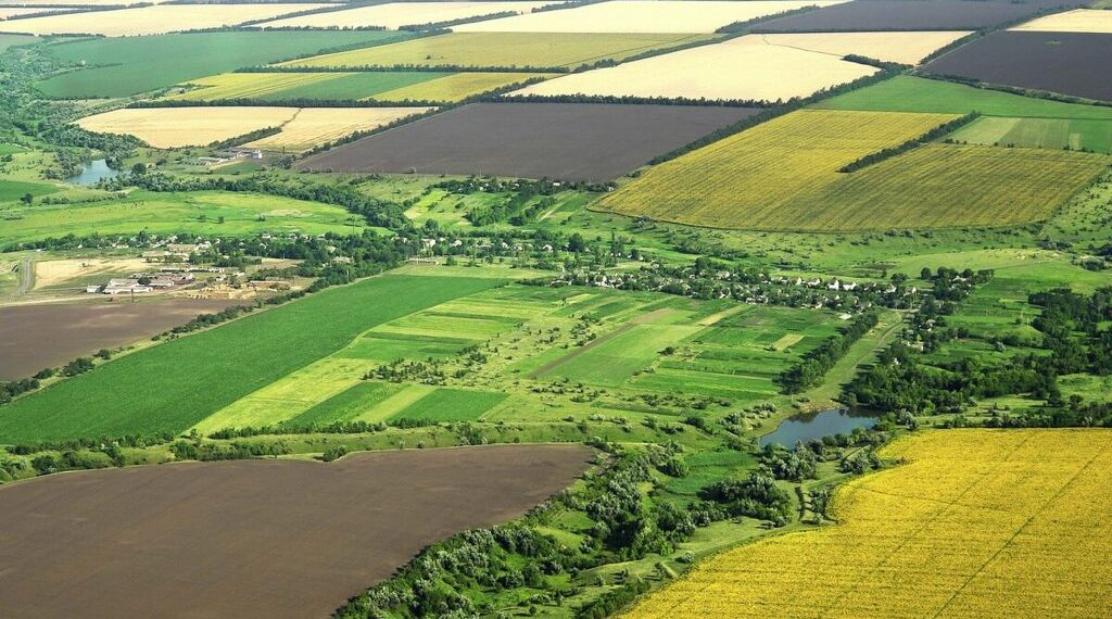 Acțiune în constatare interogatorie: drept de proprietate dobândit ope legis | Jurisprudență ÎCCJ