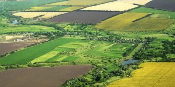 Acțiune în constatare interogatorie: drept de proprietate dobândit ope legis | Jurisprudență ÎCCJ