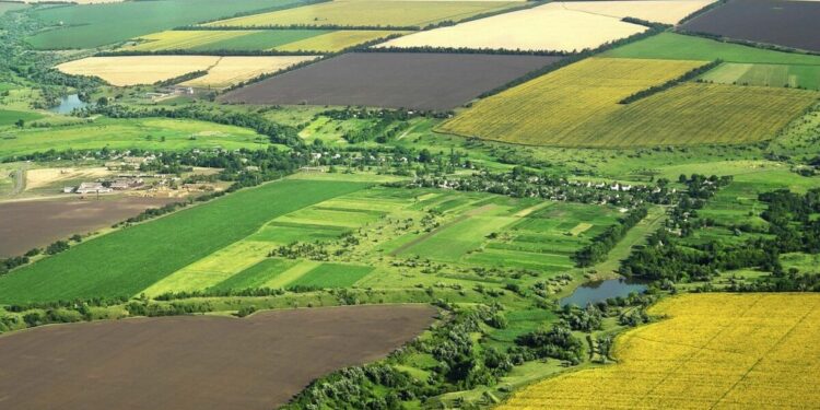 Acțiune în constatare interogatorie: drept de proprietate dobândit ope legis | Jurisprudență ÎCCJ