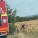 Accident la ieșirea din Marghita: un autoturism s-a răsturnat într-un lan de porumb