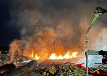 Incendiu la un depozit de lemne din Finiș: pompierii au salvat hala și utilajele, după ce 25 mc de bușteni au ars