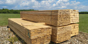 Dosar penal pentru delict silvic în Bihor: prejudiciu de peste 54.000 lei descoperit la un depozit de cherestea