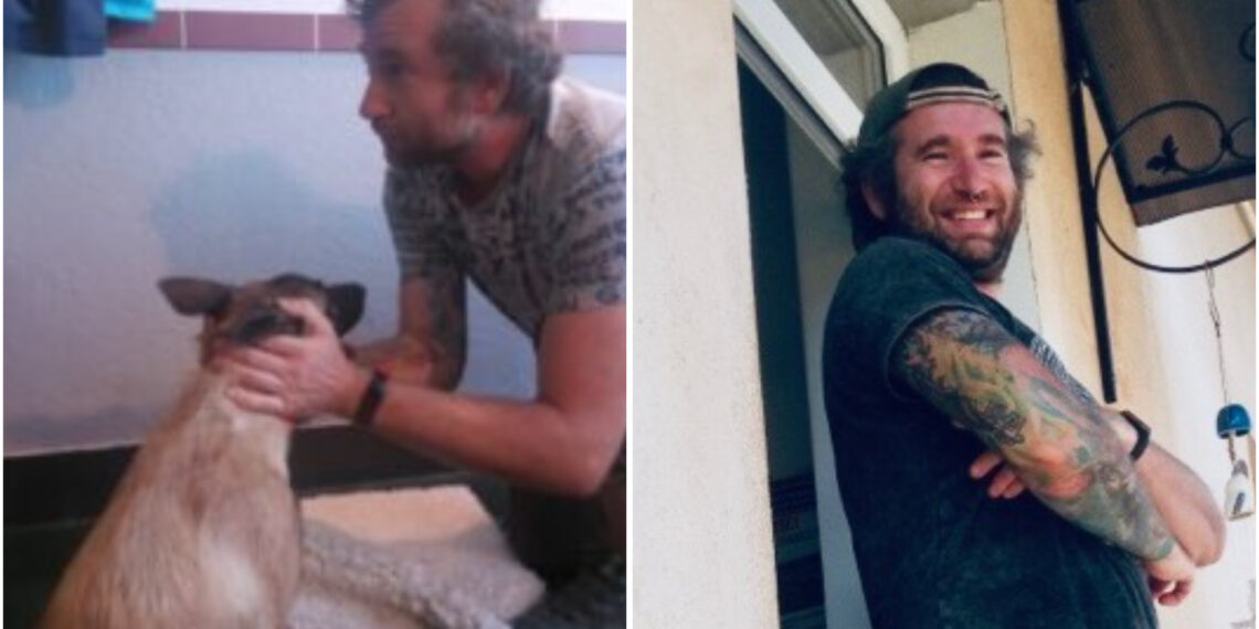 Medicul veterinar german Kloo Harald, condamnat în Bihor pentru cultivare de cannabis