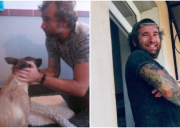 Medicul veterinar german Kloo Harald, condamnat în Bihor pentru cultivare de cannabis