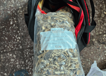 Tânărul prins cu un rucsac plin de droguri rămâne în arest la domiciliu