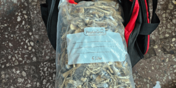 Tânărul prins cu un rucsac plin de droguri rămâne în arest la domiciliu