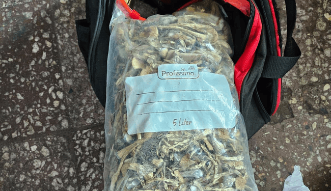 Tânărul prins cu un rucsac plin de droguri rămâne în arest la domiciliu