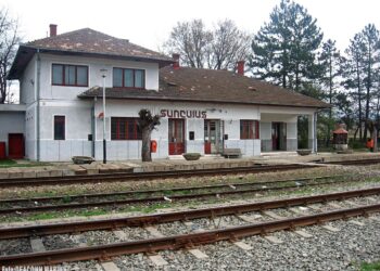 Noapte de groază în Șuncuiuș: un om beat, imobilizat și jefuit