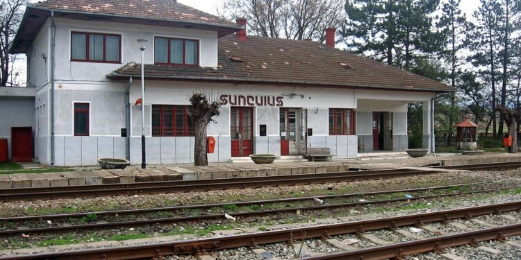 Noapte de groază în Șuncuiuș: un om beat, imobilizat și jefuit