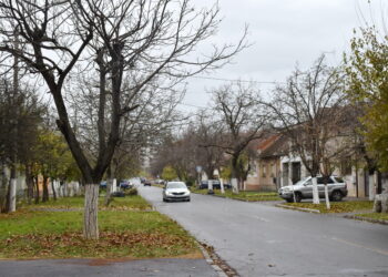 Scandal sângeros în Oradea: un cetățean ucrainean și-a înjunghiat vecinul în plină stradă