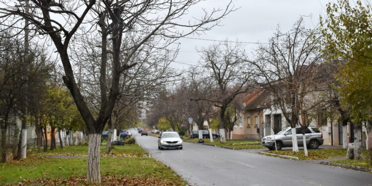 Scandal sângeros în Oradea: un cetățean ucrainean și-a înjunghiat vecinul în plină stradă