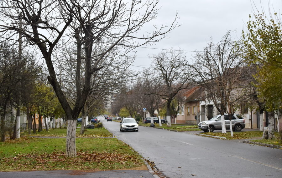 Scandal sângeros în Oradea: un cetățean ucrainean și-a înjunghiat vecinul în plină stradă