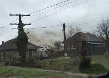 VIDEO| Panică în Hidișelu de Sus! Un cabinet veterinar cuprins de flăcări