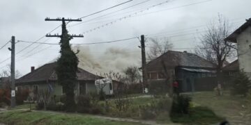 VIDEO| Panică în Hidișelu de Sus! Un cabinet veterinar cuprins de flăcări