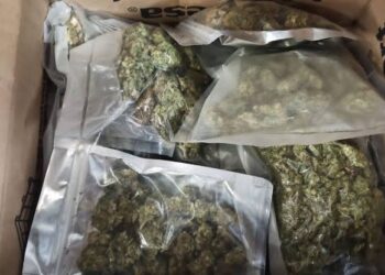 Rețea de trafic de droguri în Oradea: DIICOT i-a prins în flagrant cu 10.000 de lei și un kilogram de droguri