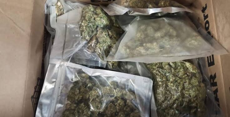 Rețea de trafic de droguri în Oradea: DIICOT i-a prins în flagrant cu 10.000 de lei și un kilogram de droguri