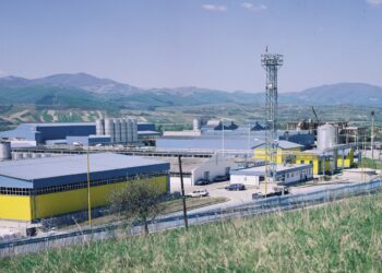 Adevărul din spatele „Cazului Micula”: cum își supune România investitorii la rele tratamente