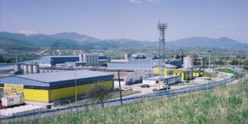 Adevărul din spatele „Cazului Micula”: cum își supune România investitorii la rele tratamente