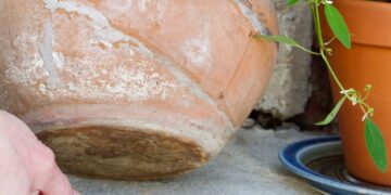 Bătrân jefuit în Bihor: o recidivistă a intrat în casă folosind cheia ascunsă