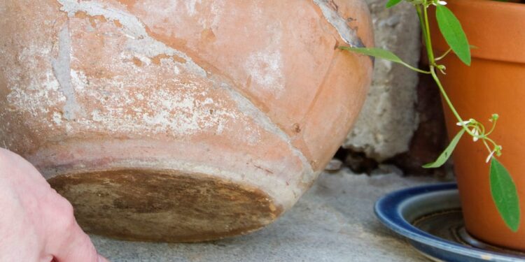 Bătrân jefuit în Bihor: o recidivistă a intrat în casă folosind cheia ascunsă