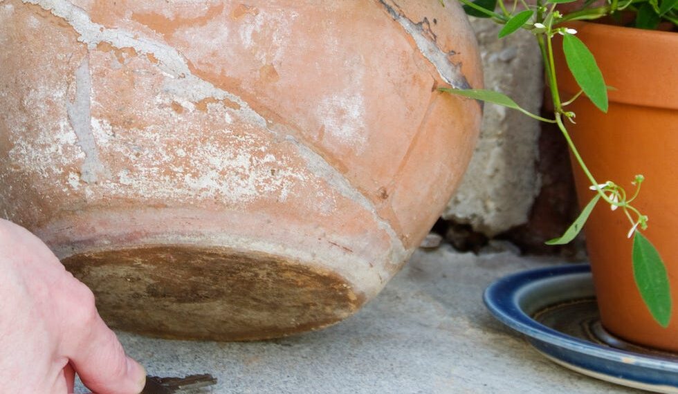 Bătrân jefuit în Bihor: o recidivistă a intrat în casă folosind cheia ascunsă