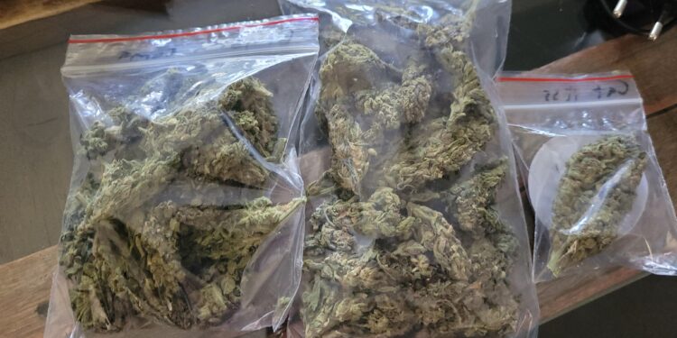 Dosar de trafic de droguri, închis după 4 ani: tânăr prins cu cannabis scapă de condamnare