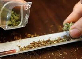 15 kg de canabis și o fugă prin Europa: spaniolul cu trecut violent rămâne sub arest preventiv după decizia Curții de Apel Oradea