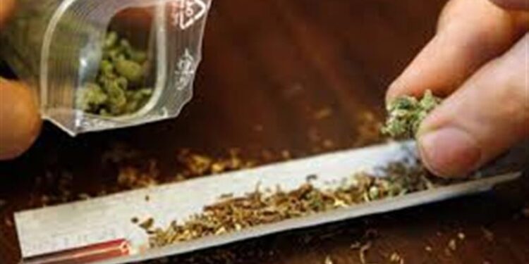 15 kg de canabis și o fugă prin Europa: spaniolul cu trecut violent rămâne sub arest preventiv după decizia Curții de Apel Oradea