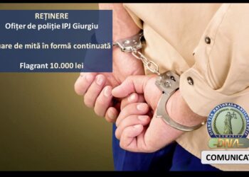 Sursă foto: pagina facebook DNA