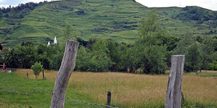 Agricultorii din zonele necooperativizate ar putea primi pensie: ce prevede noul proiect legislativ