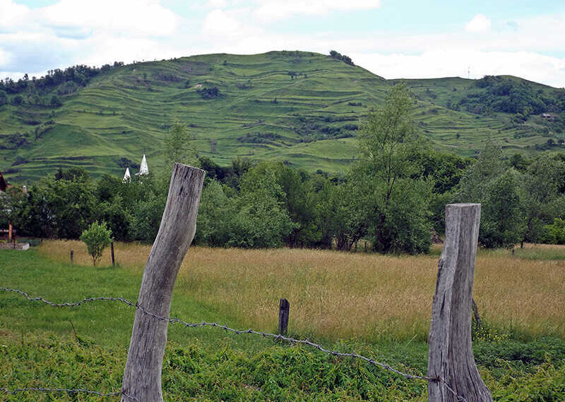 Agricultorii din zonele necooperativizate ar putea primi pensie: ce prevede noul proiect legislativ