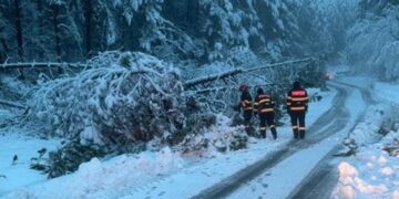 ISU Bihor, în alertă: copaci căzuți și drumuri blocate în zona montană