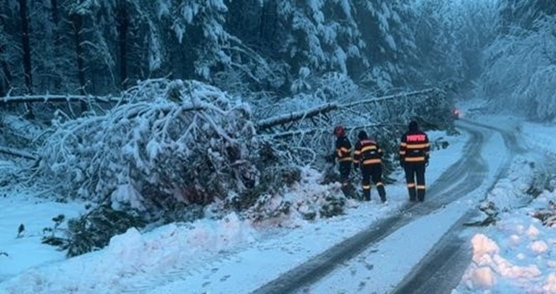 ISU Bihor, în alertă: copaci căzuți și drumuri blocate în zona montană