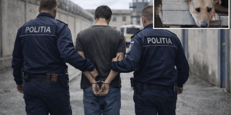 Imagine ilustrativă, generată cu ajutorul inteligenței artificiale