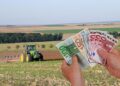Fermierii riscă să piardă subvențiile APIA dacă nu își achită taxele locale