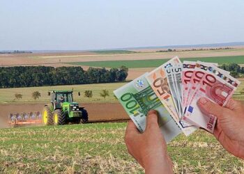 Fermierii riscă să piardă subvențiile APIA dacă nu își achită taxele locale