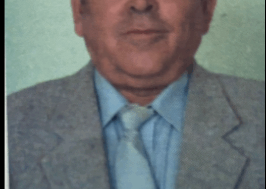 Sursă foto : pagina facebook Colegiul Național „Avram Iancu” Ștei