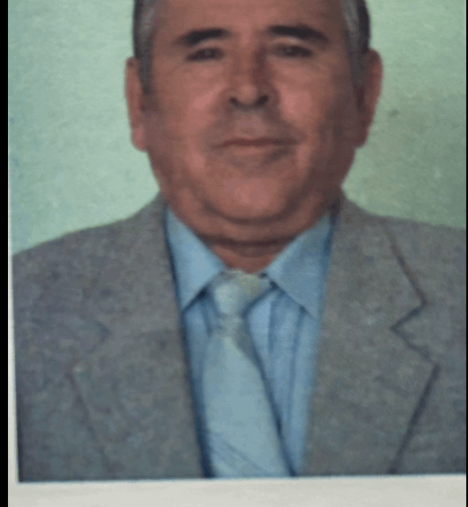 Sursă foto : pagina facebook Colegiul Național „Avram Iancu” Ștei